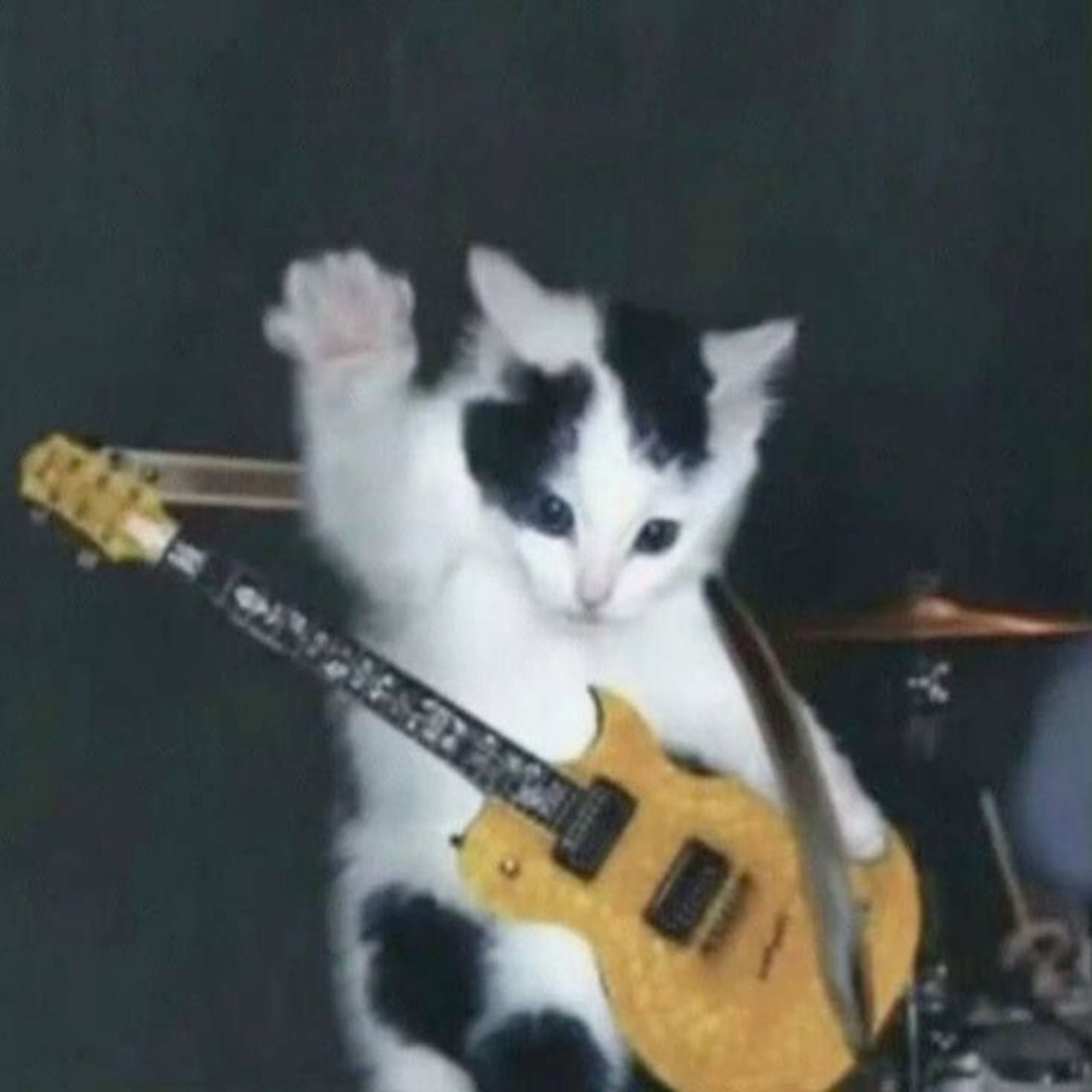 Portada Quinta Muestra